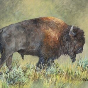 tatanka