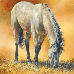 buckskin