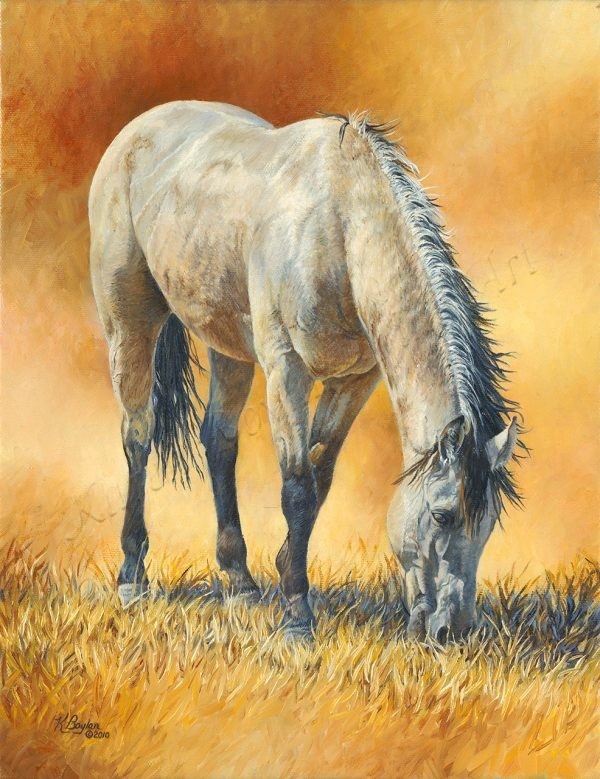 buckskin