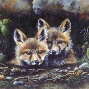 fox pups
