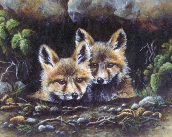 fox pups