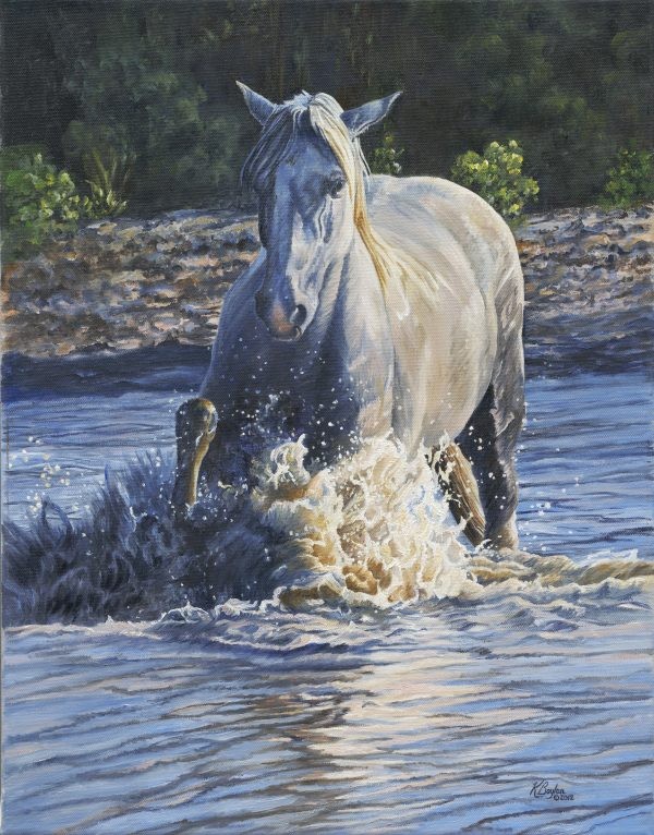the big splash
